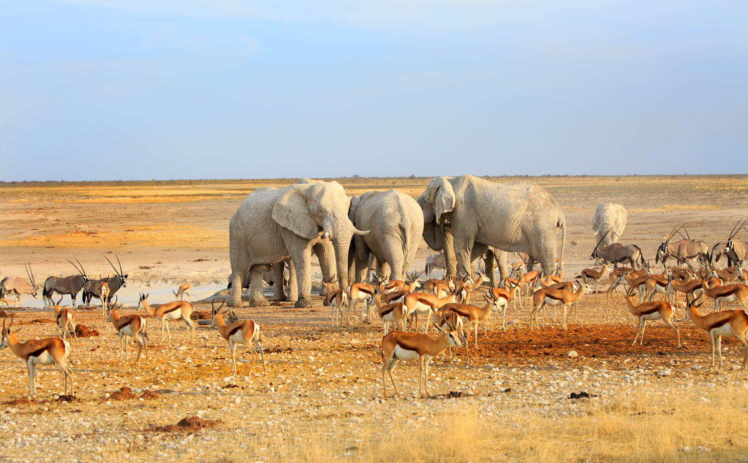 namibija-07