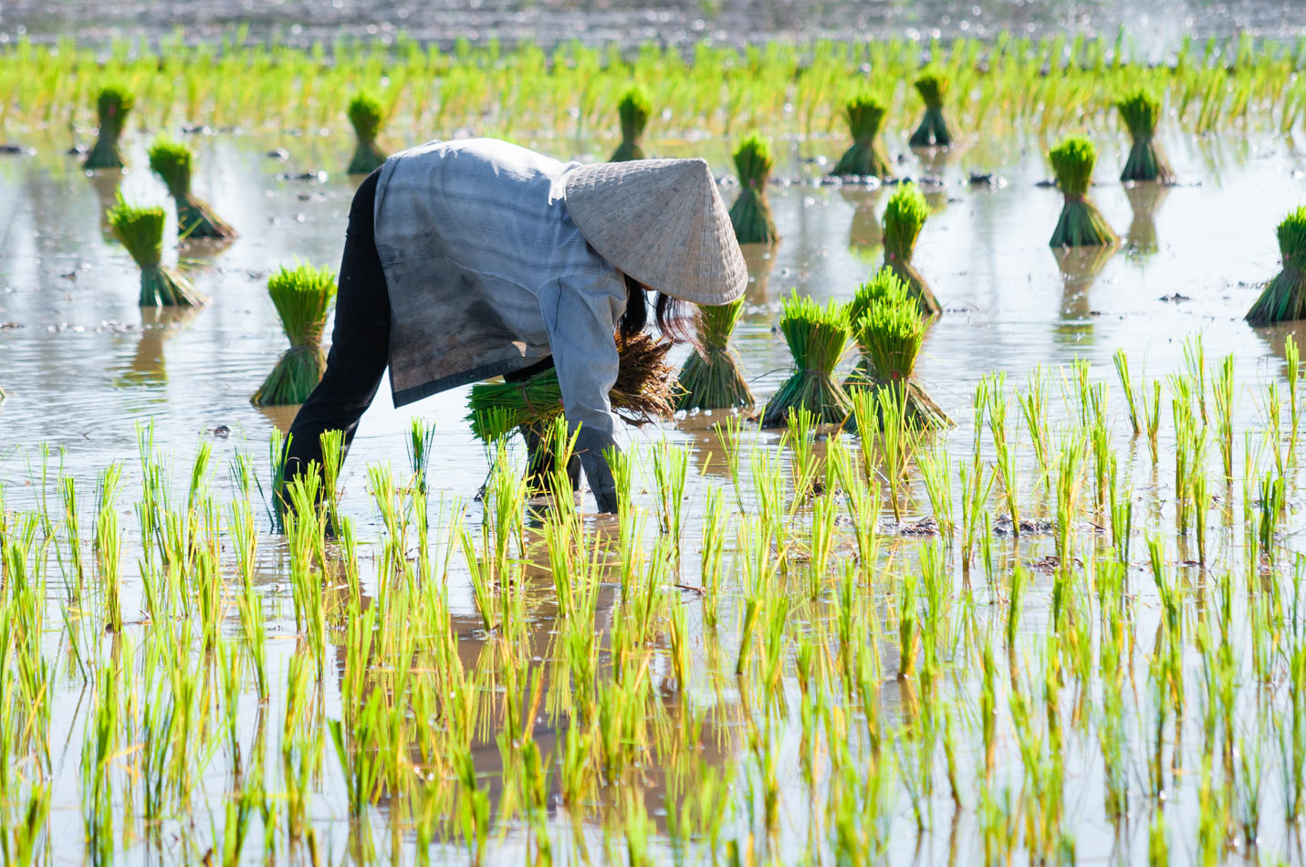 vietnam-07